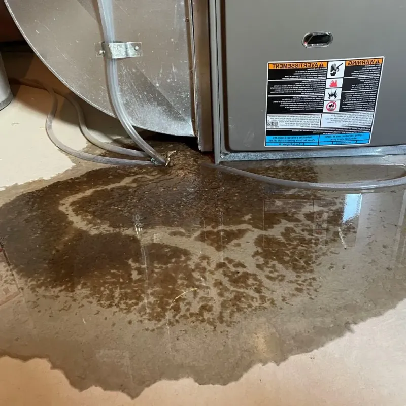 Pipe Burst and Leak Restoration in Newcomerstown, OH
