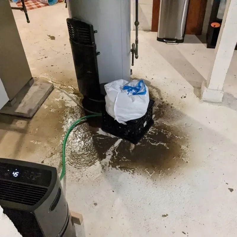 Sewage Backup Cleanup Service in Newcomerstown, OH